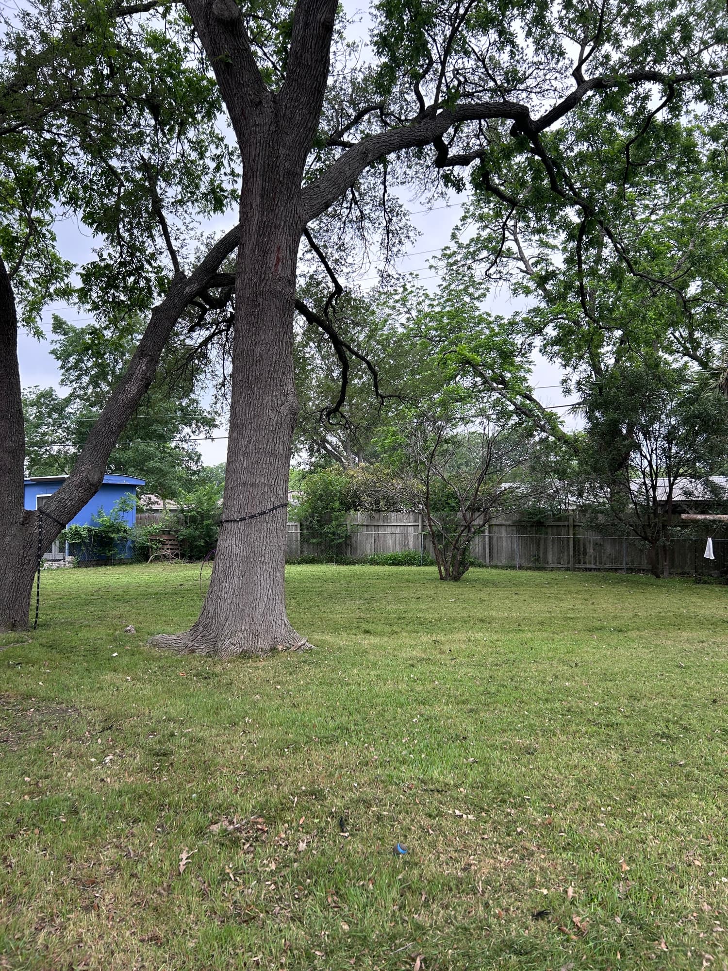 Yard after service