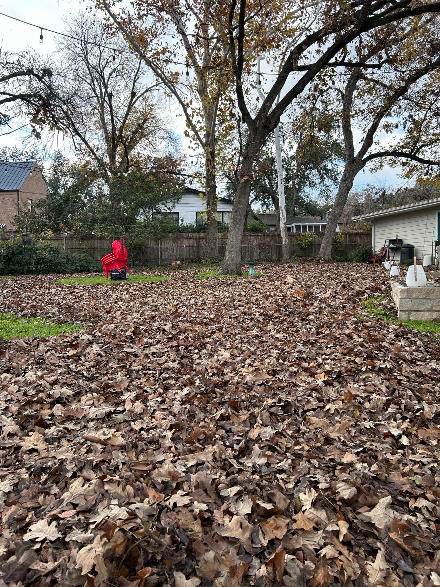 Yard before service
