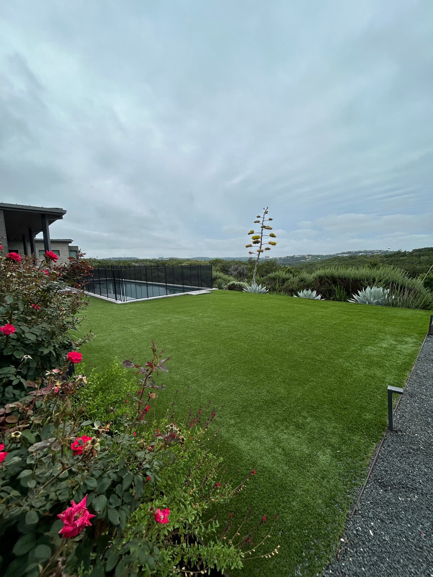 Freshly mowed lawn