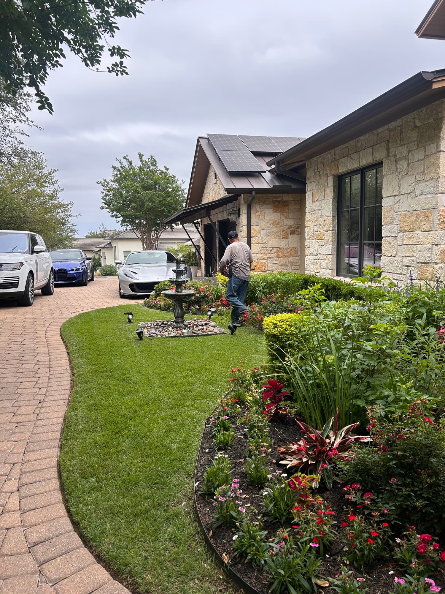 Freshly mowed lawn